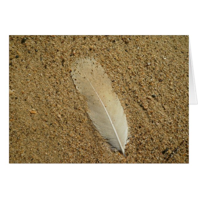 Plumes sur le sable (Devant horizontal)
