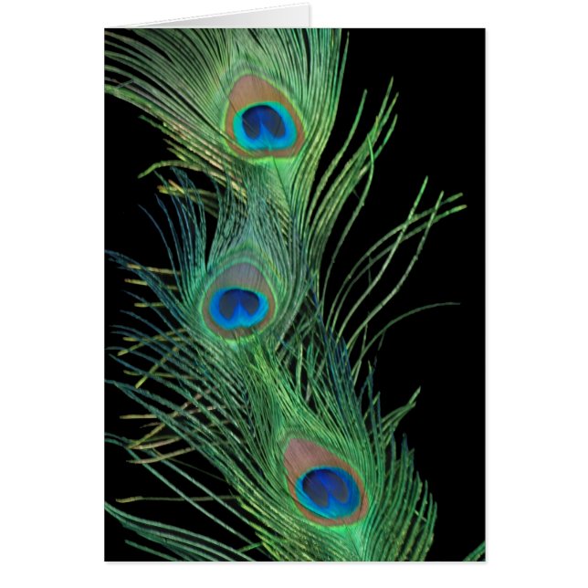 Plumes vertes avec noir (Devant)