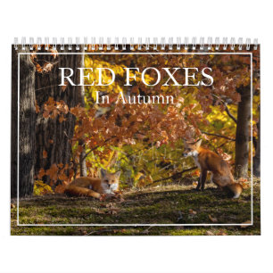 Plus De Renards Rouges Dans Le Calendrier Automne