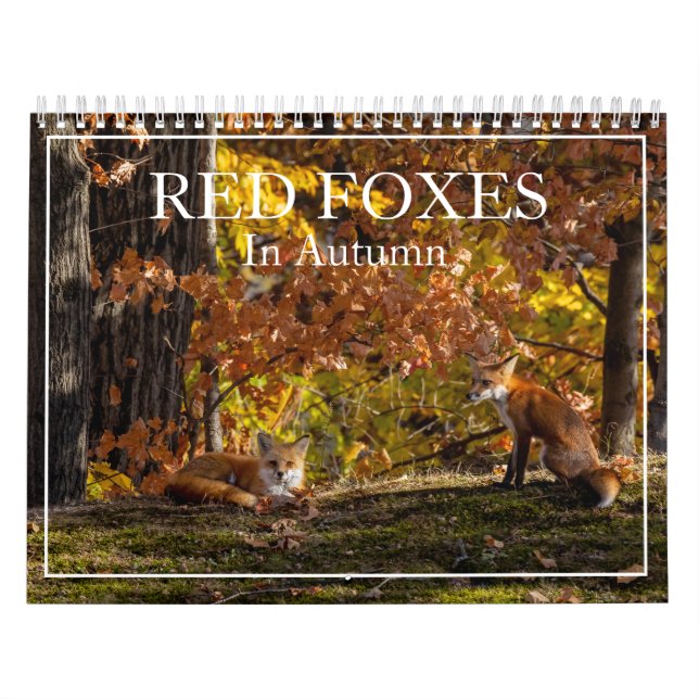 Plus De Renards Rouges Dans Le Calendrier Automne (Protection)