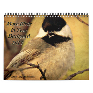 Plus d'oiseaux dans votre calendrier 2013 de