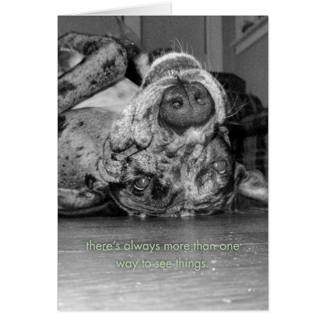 Plus d'une voie (Devant)