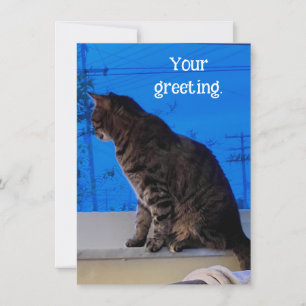 Plutôt Brown Tabby Cat Cartes de Voeux Personnalis