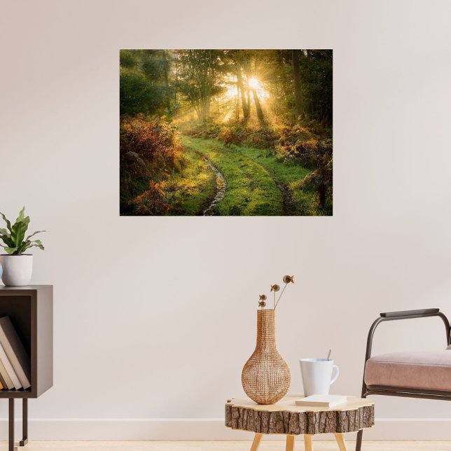 Pneus dans les bois Poster Artwork Mural (Tracks in Forest)