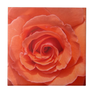Poche rose céramique photo carreaux
