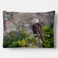 Aigle bald assis sur le rocher