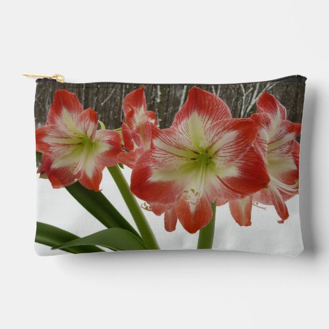 Pochette À Accessoires Amaryllis en Fête Rouge Neige Hiver Floral (Recto)