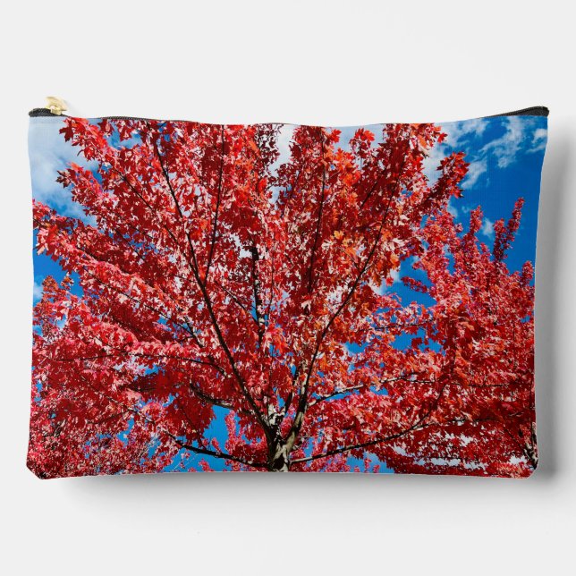 Pochette À Accessoires Arbre à feuilles rouges à l'automne (Recto)