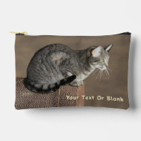Chat Tabby Gris Fumé