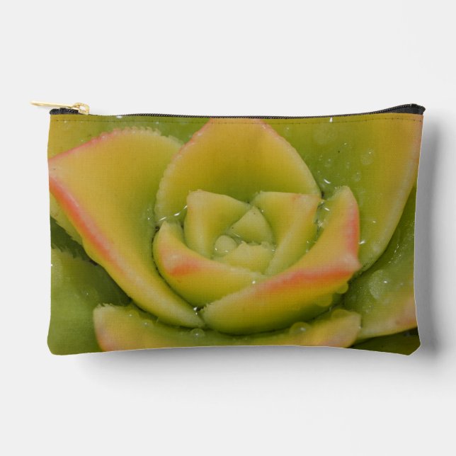 Pochette À Accessoires Étui pour ordinateur portable succulent | Étui de  (Recto)