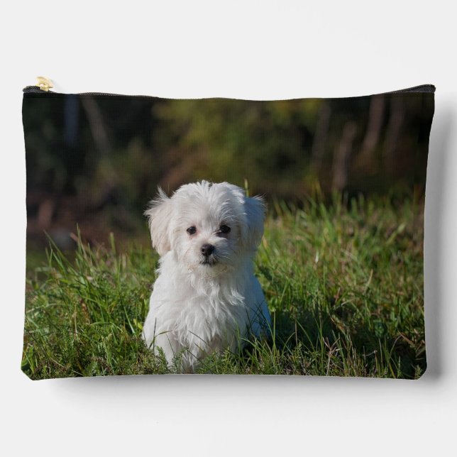 Pochette À Accessoires Joli chiot blanc (Recto)