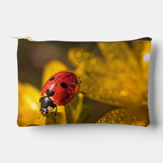 Pochette À Accessoires Peinture (Recto)