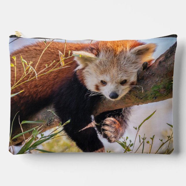 Pochette À Accessoires Petit panda rouge pâle (Recto)