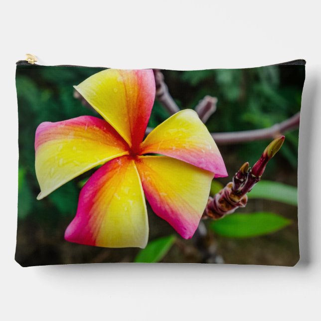 Pochette À Accessoires Plumeria rubra (Recto)