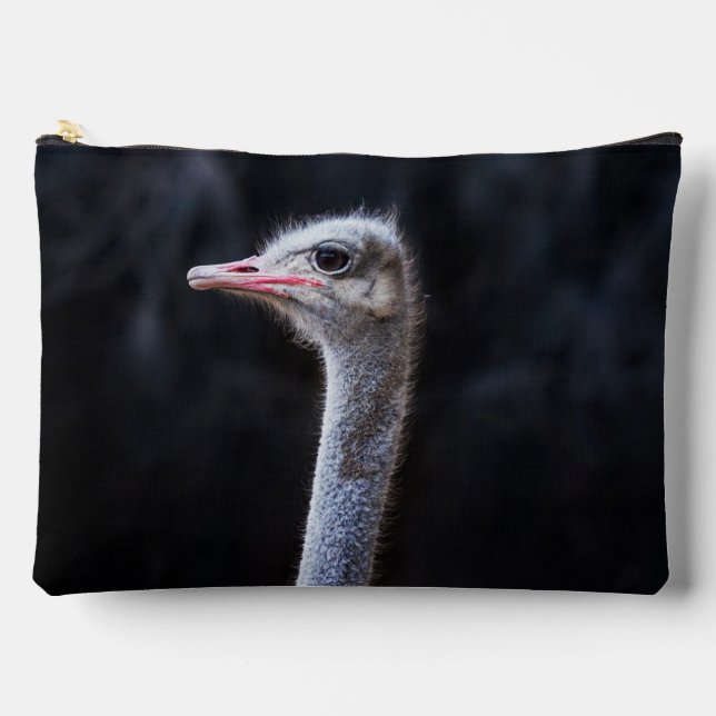 Pochette À Accessoires portrait d'autruche (Recto)