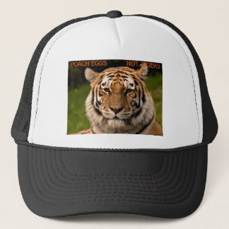 Pochez le casquette de tigres d'oeufs pas