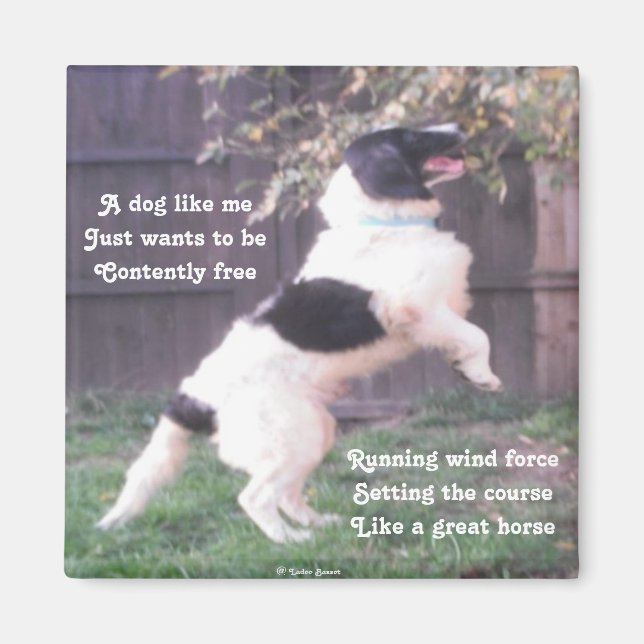 Poème De Cheval De Chien Magnet Par Ladee Basset (Devant)