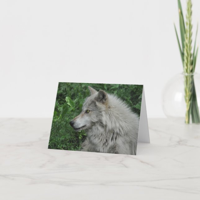 Poème WILDERNESS WOLF sur une carte de note (Devant)