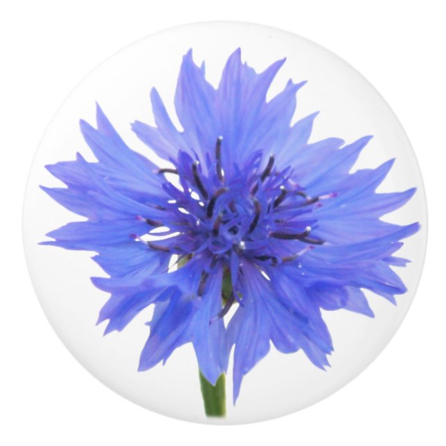 poignée de porte bleu bleuet (Devant)