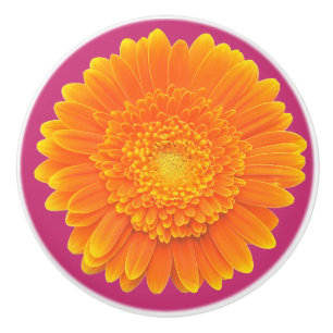 poignée de porte en forme de marguerite orange