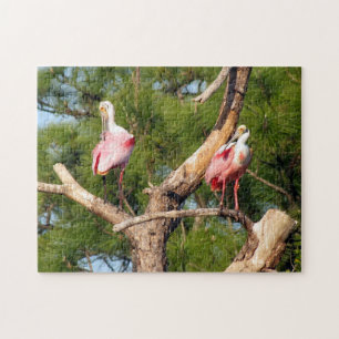 Poignée de puzzle à bec rose