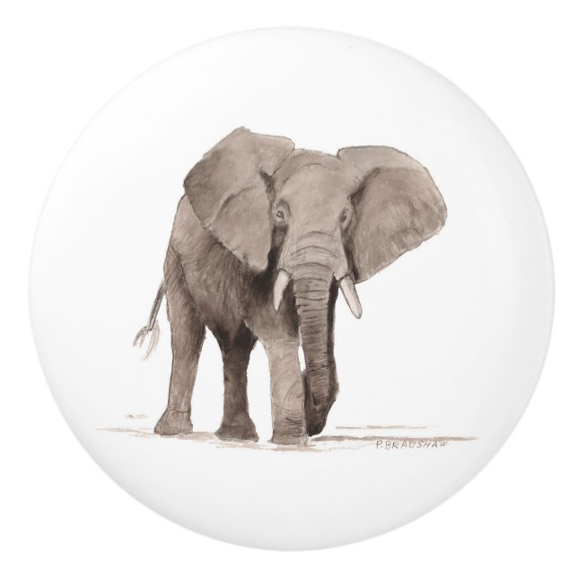 poignée de tiroir éléphant (Devant)