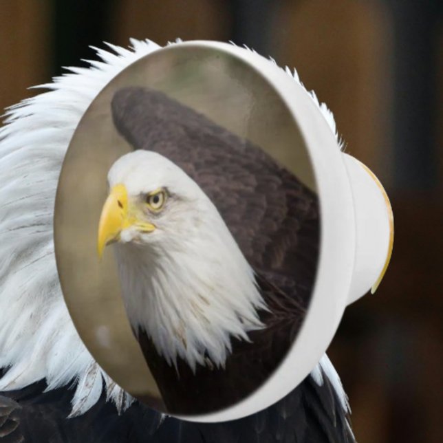 Poignée de tiroir en céramique Bold Eagle – Force (Créateur téléchargé)
