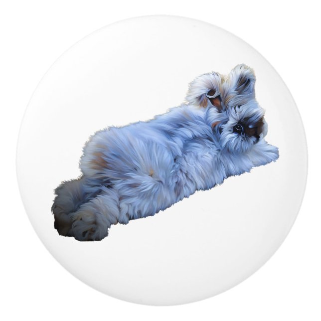 Poignée en Céramique (Devant)