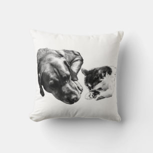 Poignée et chat se reposant ensemble oreiller à la