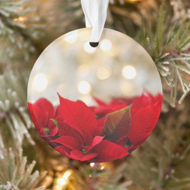 Poinsettia de Noël (Arbre)