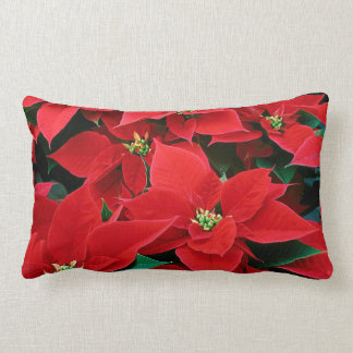 Poinsettia de Noël : Maison : Coussins et carreau