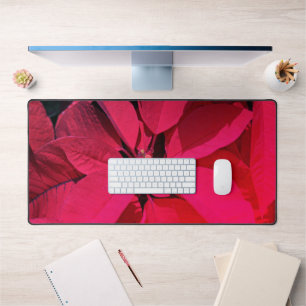 Poinsettia / Décor de Noël