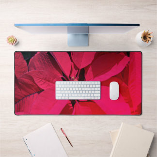 Poinsettia / Décor de Noël