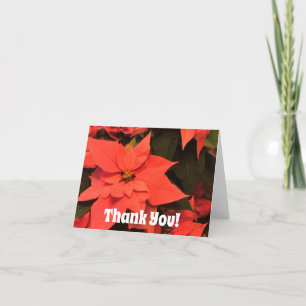 Poinsettia Noël Merci Notes vierges à l'intérieur