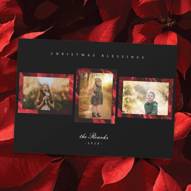 Poinsettia Petals Frame 3 Photo Carte de Noël (Créateur téléchargé)