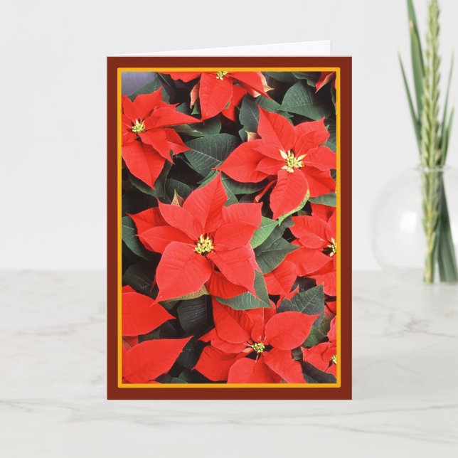 Poinsettias - Carte d'art Vintage (Devant)