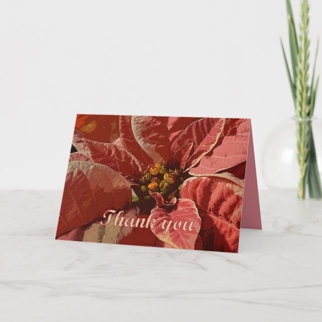 Poinsettias Merci rose et crème (Devant)
