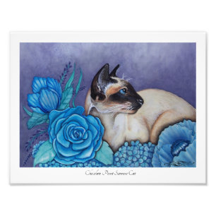 Point Chocolat Siamese Photo Print