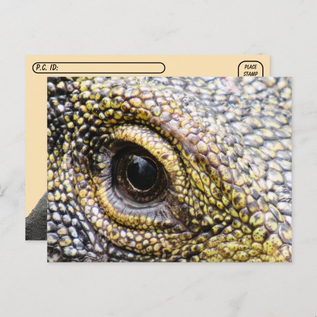 Point de passage - Crocodile Moniteur Lizard Carte (Devant / Derrière)