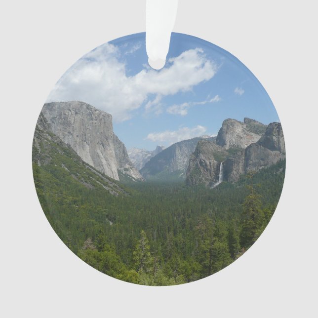 Point d'Inspiration dans le Parc National de Yosem (devant)