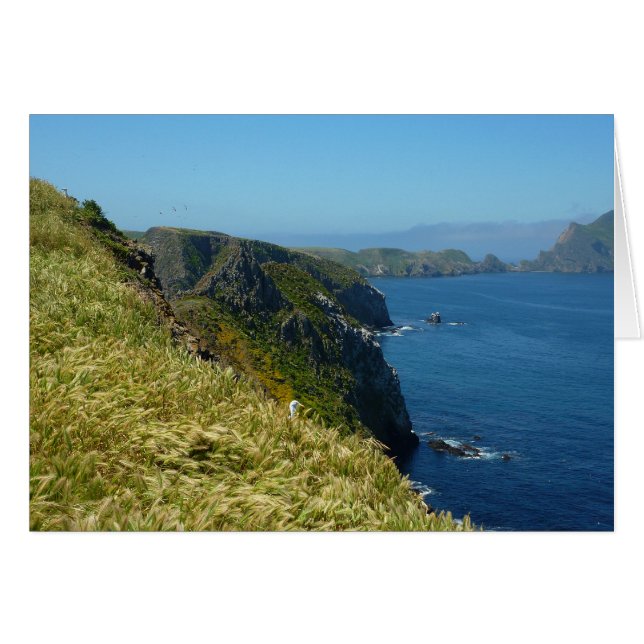 Point d'inspiration II d'Anacapa aux îles Anglo-No (Devant Horizontal)