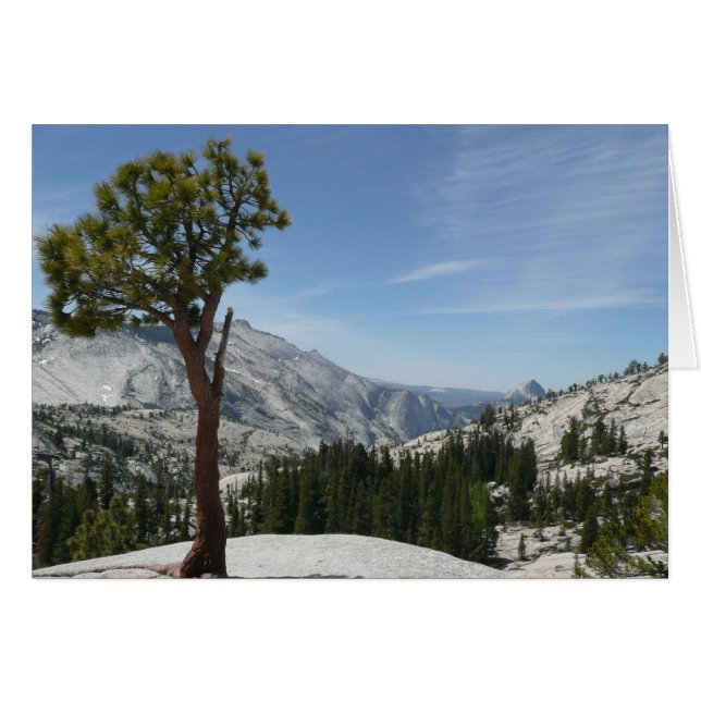 Point I d'Olmsted au parc national Yosemite (Devant horizontal)