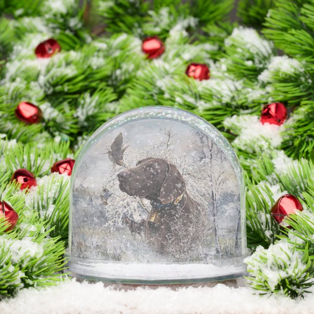 Pointeur à poils courts allemand (Noël)