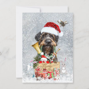 Pointeur À poils durs allemand, carte de chasse de