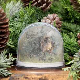 Pointeur À poils durs allemand, Chasse