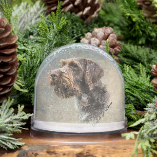 Pointeur À poils durs allemand, Chasse