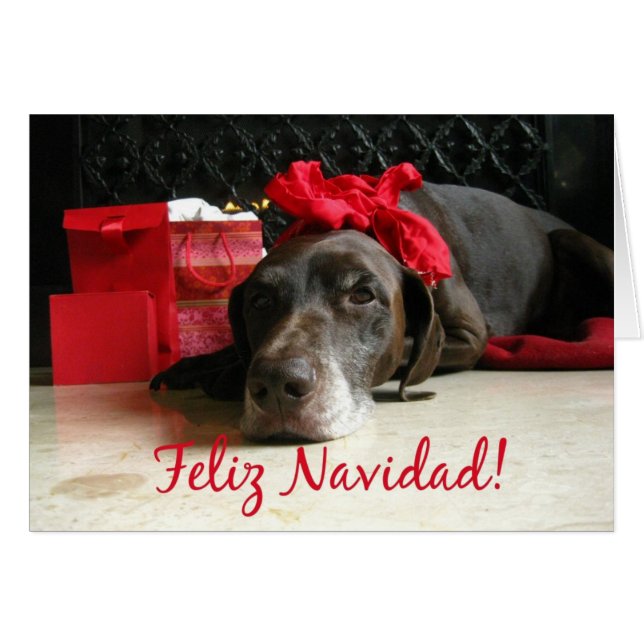 pointeur de noël et cadeaux espagnols en feu (Devant horizontal)