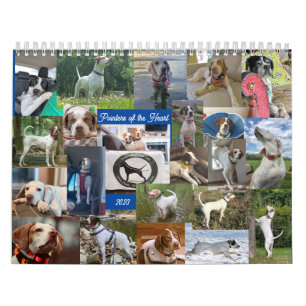 Pointeurs du calendrier cardiaque 2023 PointeurRes