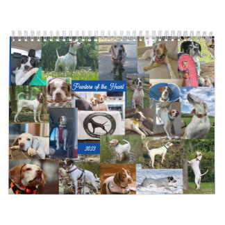 Pointeurs du calendrier cardiaque 2023 PointeurRes