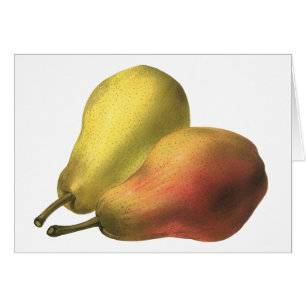 Poires Vintage, Aliments Biologiques, Fruits Mûrs